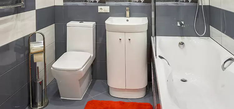 Hansgrohe Shaving Mirror Richardson